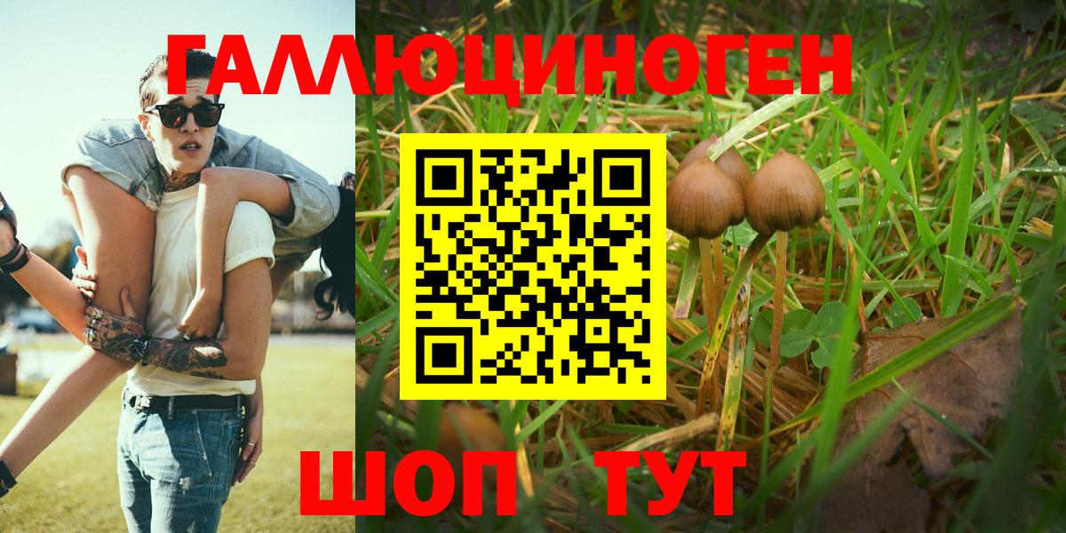 Псилоцибиновые грибы Magic Shrooms  Вход с VPN  Воткинск 